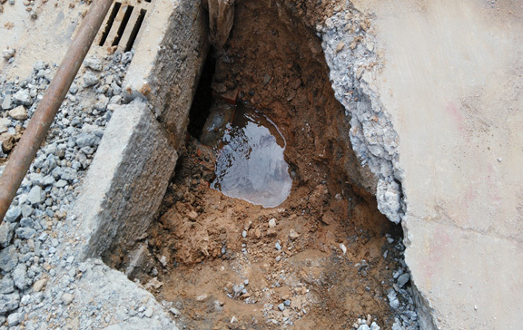 1658800804605912.jpg 7aa9c506-41dc-456a-8255-f2a559c209c1.jpg